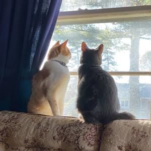 Meet your Posher, Renee